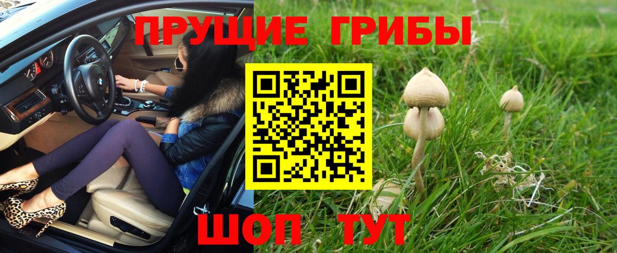 Галлюциногенные грибы GOLDEN TEACHER  Вход с VPN  где купить   Ижевск 